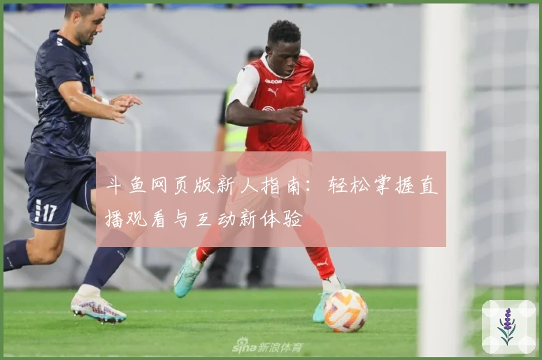 斗鱼网页版新人指南：轻松掌握直播观看与互动新体验