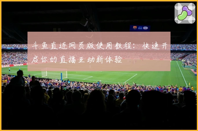 斗鱼直连网页版使用教程：快速开启你的直播互动新体验