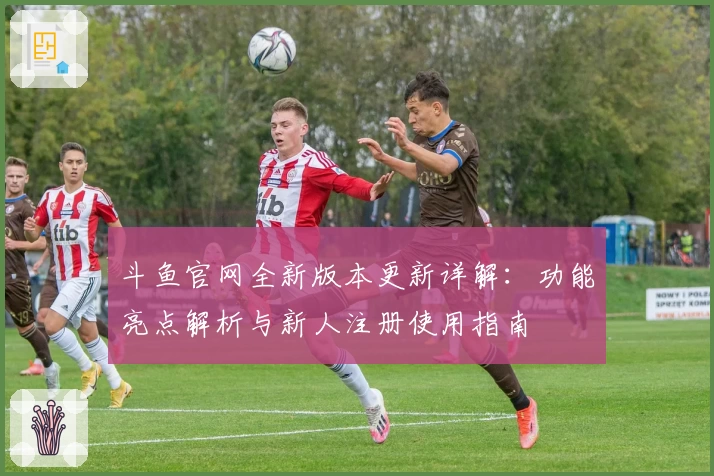 斗鱼官网全新版本更新详解：功能亮点解析与新人注册使用指南