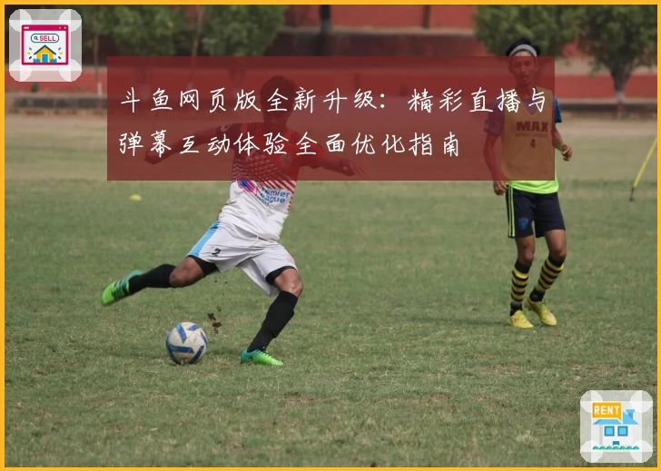 斗鱼网页版全新升级：精彩直播与弹幕互动体验全面优化指南