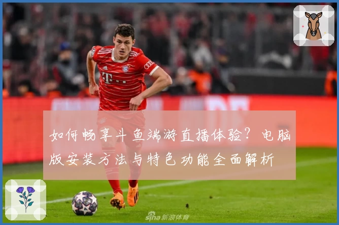 如何畅享斗鱼端游直播体验？电脑版安装方法与特色功能全面解析