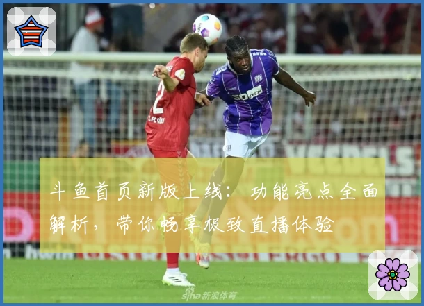 斗鱼首页新版上线：功能亮点全面解析，带你畅享极致直播体验