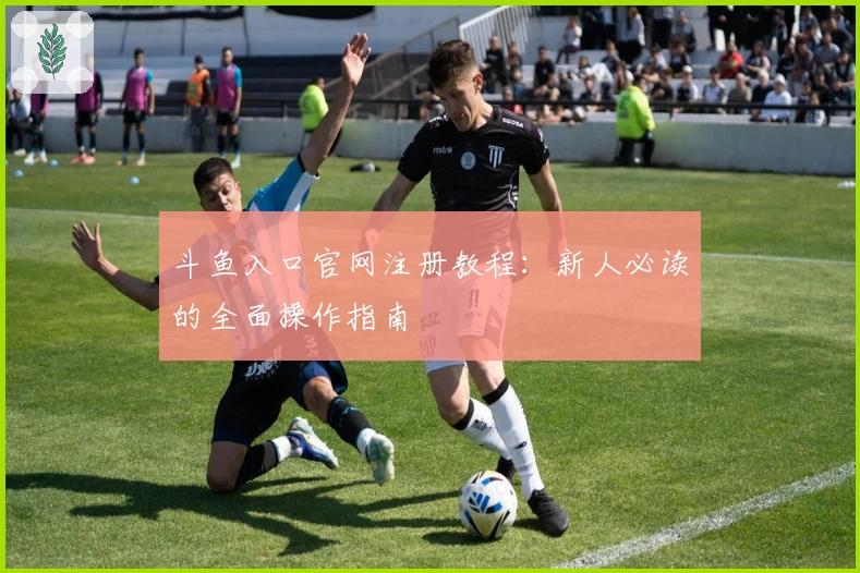 斗鱼入口官网注册教程：新人必读的全面操作指南