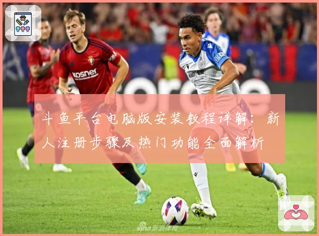 斗鱼平台电脑版安装教程详解：新人注册步骤及热门功能全面解析