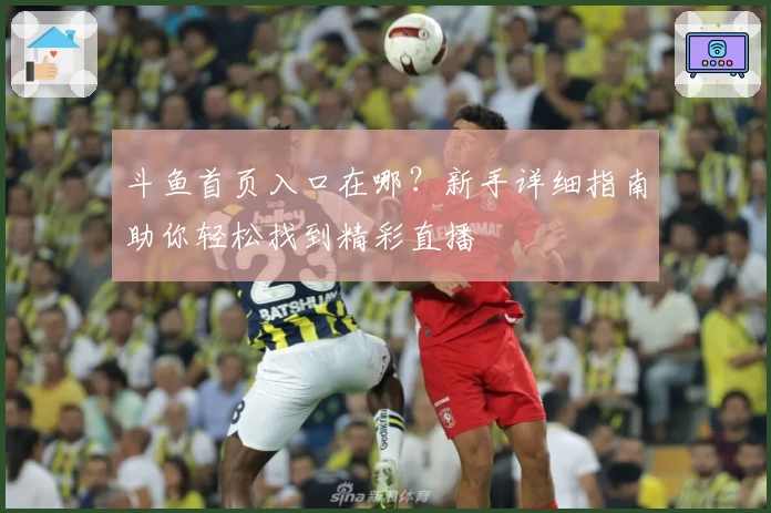 斗鱼首页入口在哪？新手详细指南助你轻松找到精彩直播