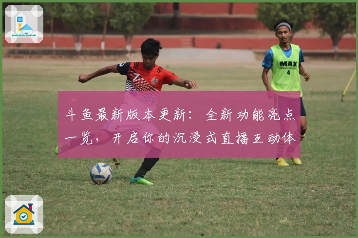 斗鱼最新版本更新：全新功能亮点一览，开启你的沉浸式直播互动体验