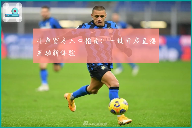 斗鱼官方入口指南：一键开启直播互动新体验